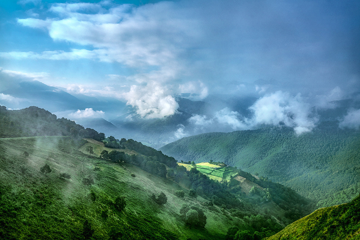 Col d’Aspin - Hayfield - Cycling decor, Cycling Photography Prints, Cycling Art. Unique gifts for cyclists. Luxury Gifts for Cyclists by davidt