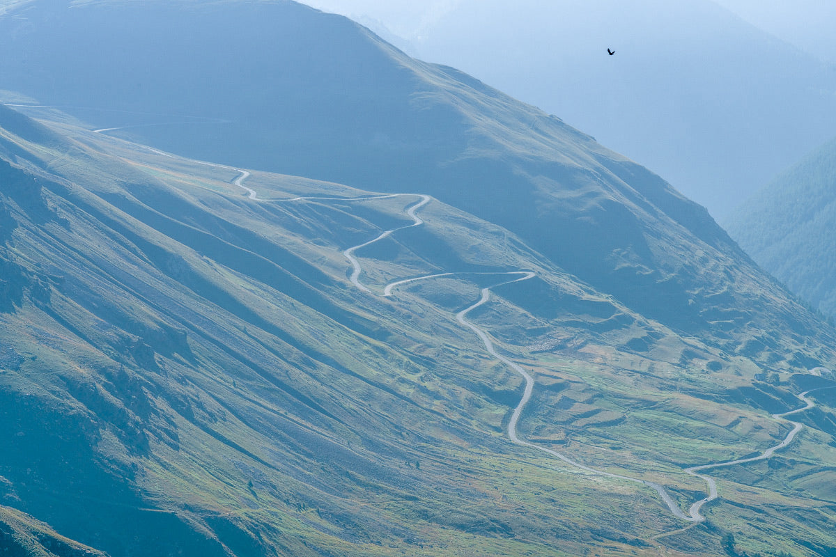 Col de la Bonette gifts for cyclists. Like most birds of prey, eagles have very sensitive hearing, which is why they are only to be seen when the mountains are quiet.