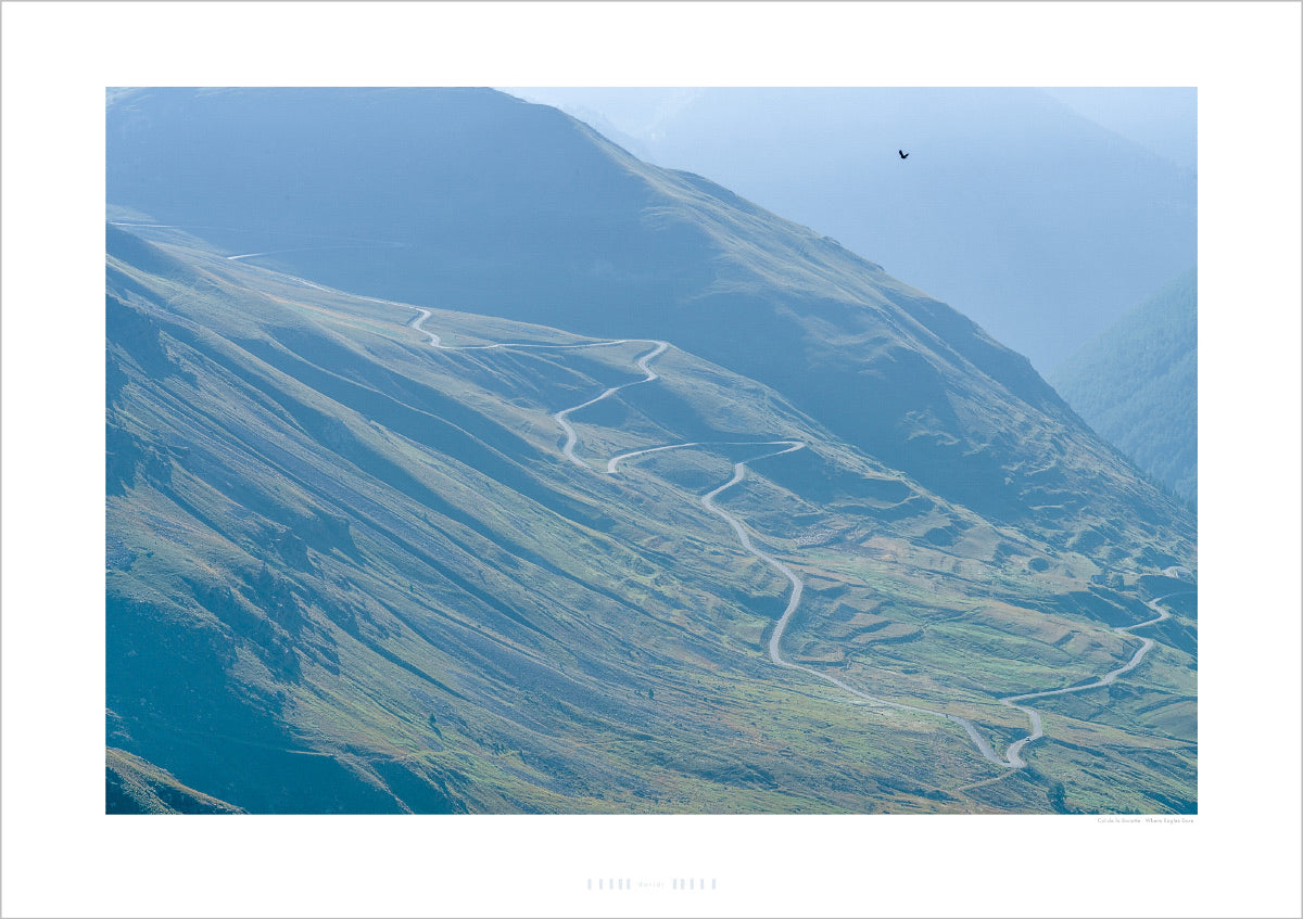 Col de la Bonette photography prints by davidt gifts for cyclists. Like most birds of prey, eagles have very sensitive hearing, which is why they are only to be seen when the mountains are quiet.