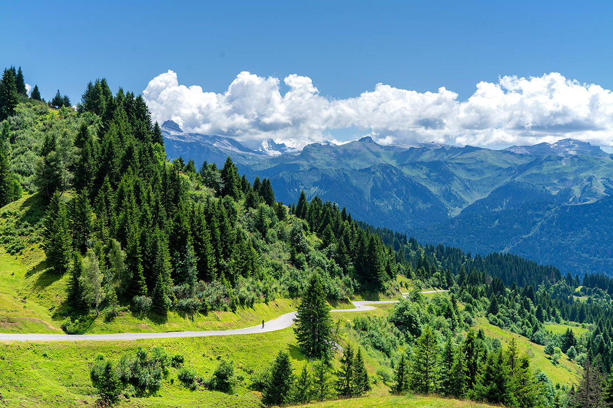Col de Joux Plane Single Rider