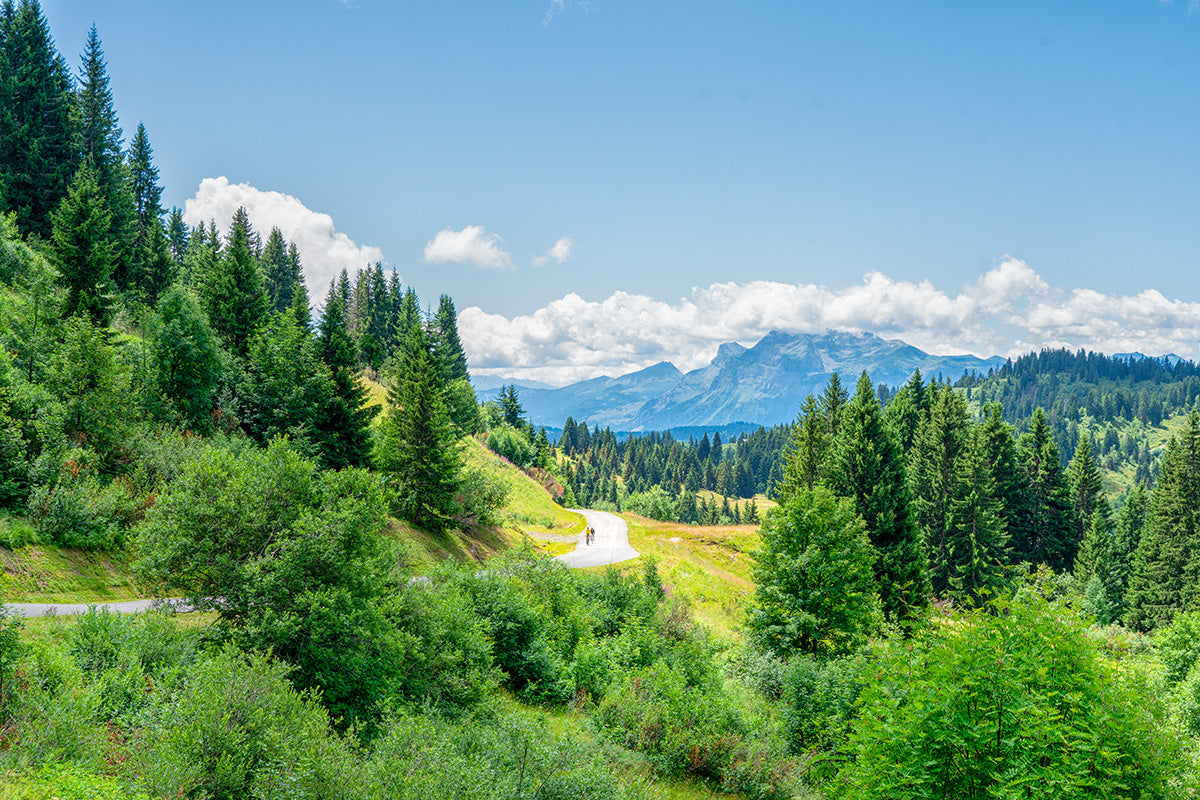 Col de Joux Plane
