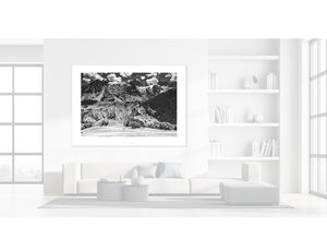 Col du Lautaret and La Meije Glacier B&W Great cycling climbs by davidt