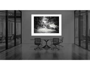 Port de Pailhères - Friends