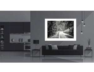 Passo Stelvio - Lower Slopes - Limited Edition - Gifts for cyclists, Black and white duotone cycling photography print by davidt. 