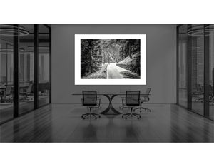 Passo Stelvio - Lower Slopes - Limited Edition - Gifts for cyclists, Black and white duotone cycling photography print by davidt. art for offices
