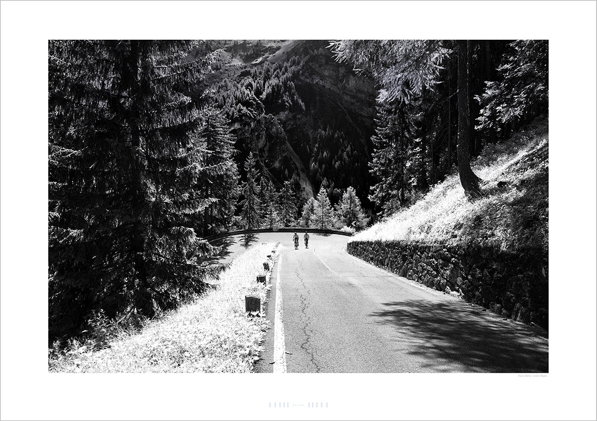 The Passo Stelvio Lower Slopes. Cycling Art. Unique gifts for cyclists. Cycling decor, Cycling Photography Prints, Cycling interiors, Luxury Gifts for Cyclists, Photography prints by davidt