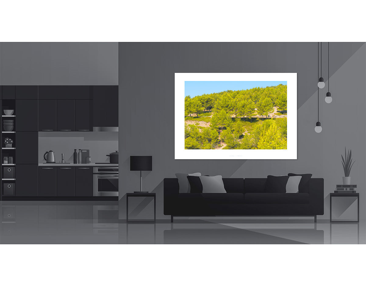 Mont Ventoux - Freewheeling - In the foothill Cycling photography prints by davidt