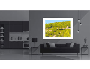 Mont Ventoux - Freewheeling - In the foothill Cycling photography prints by davidt