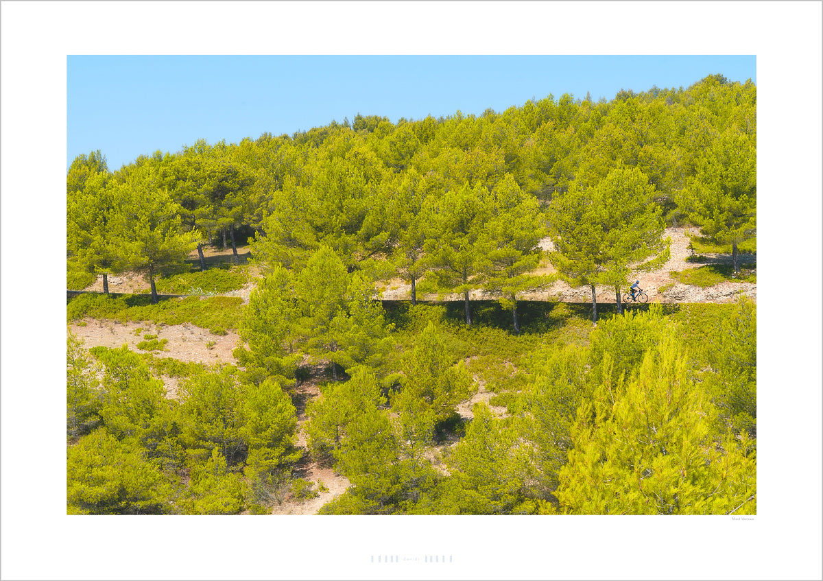 Mont Ventoux - Freewheeling, cycling gifts for cyclists