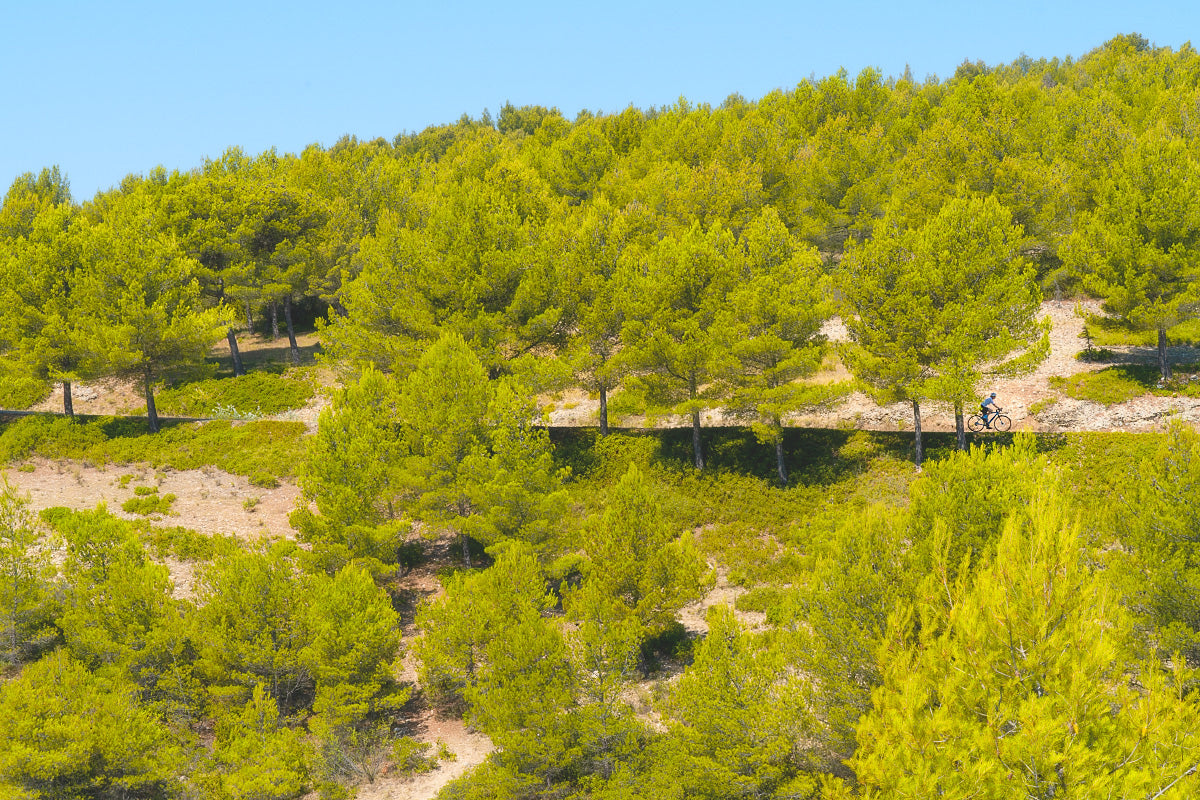Mont Ventoux - Freewheeling cycling photography prints by davidt