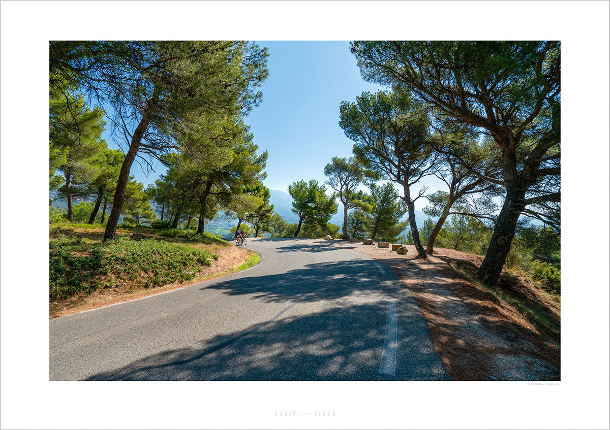 Mont Ventoux, a gift for cyclists. Cycling prints of beautiful landscapes